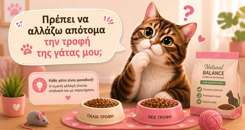 Πώς να αλλάξεις σωστά την τροφή της γάτας&nbsp;σου
