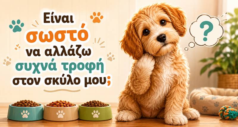 Πρέπει να αλλάζω συχνά την τροφή του σκύλου μου;