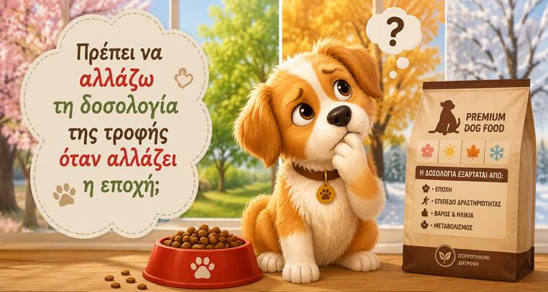Χρειάζεται ο σκύλος μου διαφορετική ποσότητα τροφής το καλοκαίρι και τον&nbsp;χειμώνα;