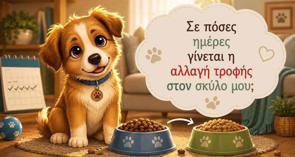 Σε πόσες ημέρες γίνεται η αλλαγή τροφής στον σκύλο&nbsp;μου;