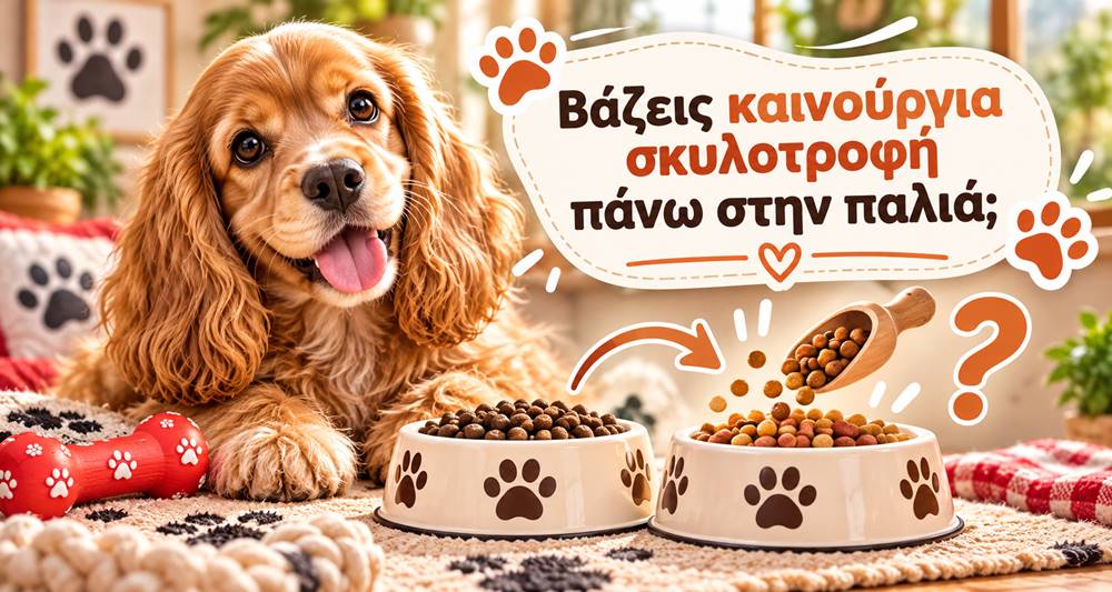 Αποθήκευση σκυλοτροφής: Γιατί δεν βάζουμε νέα τροφή πάνω στην παλιά;