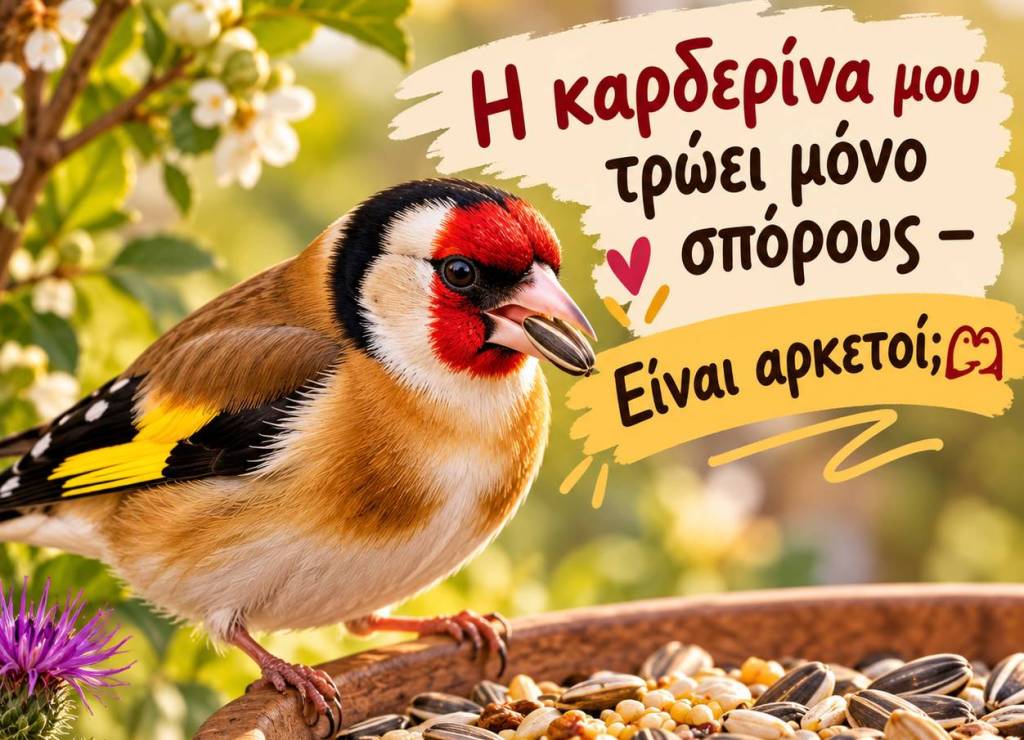 Η καρδερίνα τρώει μόνο σπόρους; Τι χρειάζεται στη διατροφή&nbsp;της;